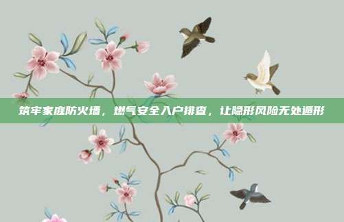 筑牢家庭防火墙,燃气安全入户排查,让隐形风险无处遁形