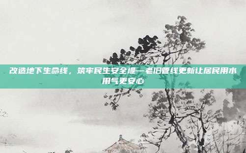 改造地下生命线,筑牢民生安全堤—老旧管线更新让居民用水用气更安心