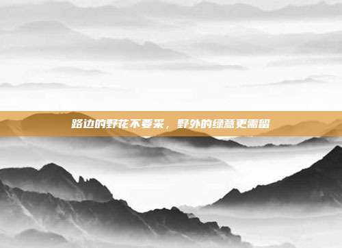 路边的野花不要采,野外的绿意更需留
