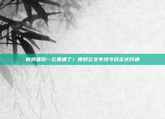 城郊最后一公里通了!便民公交专线今日正式开通