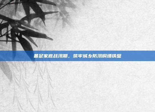 备足家底战汛期,筑牢城乡防汛铜墙铁壁