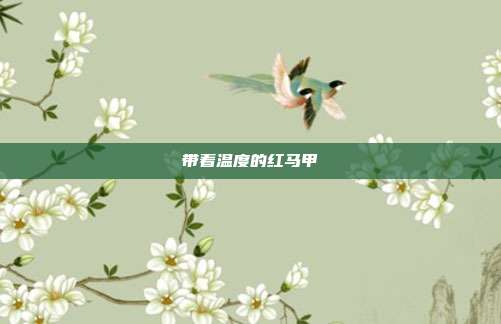 带着温度的红马甲