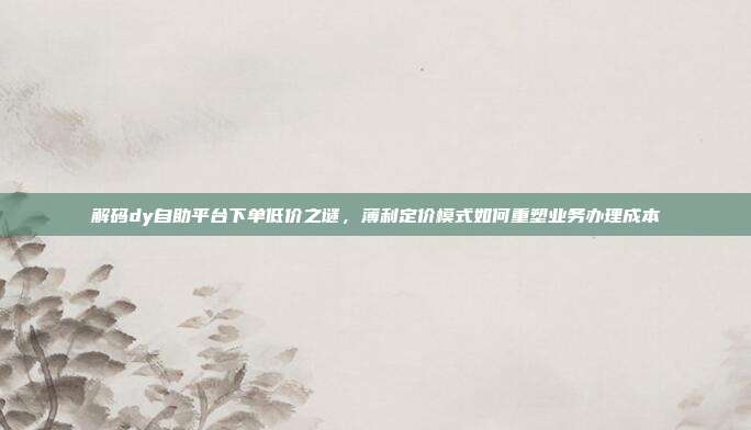 解码dy自助平台下单低价之谜,薄利定价模式如何重塑业务办理成本