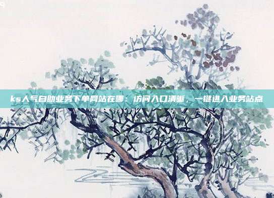 ks人气自助业务下单网站在哪:访问入口清晰,一键进入业务站点