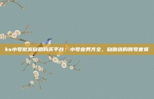 ks小号批发自助购买平台:小号业务齐全,自助选购账号套餐