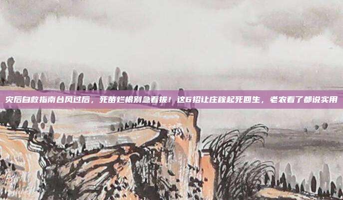 灾后自救指南台风过后,死苗烂根别急着拔!这6招让庄稼起死回生,老农看了都说实用