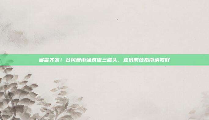 多警齐发！台风暴雨强对流三碰头，这份防范指南请收好