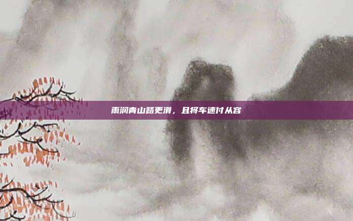 雨润青山路更滑，且将车速付从容