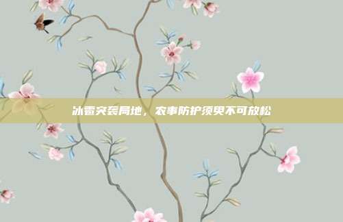 冰雹突袭局地,农事防护须臾不可放松