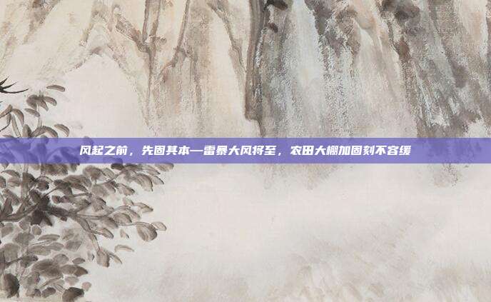 风起之前,先固其本—雷暴大风将至,农田大棚加固刻不容缓