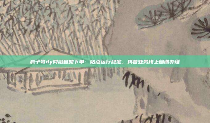 疯子哥dy网络自助下单：站点运行稳定，抖音业务线上自助办理