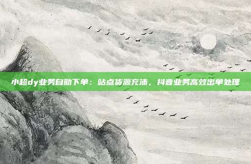 小超dy业务自助下单:站点货源充沛,抖音业务高效出单处理