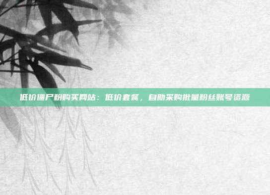 低价僵尸粉购买网站:低价套餐,自助采购批量粉丝账号资源