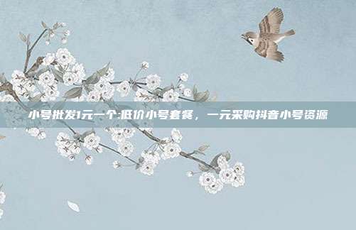 小号批发1元一个:低价小号套餐,一元采购抖音小号资源