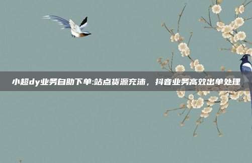 小超dy业务自助下单:站点货源充沛，抖音业务高效出单处理