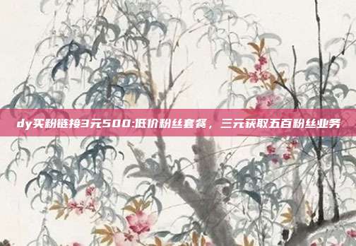 dy买粉链接3元500:低价粉丝套餐,三元获取五百粉丝业务