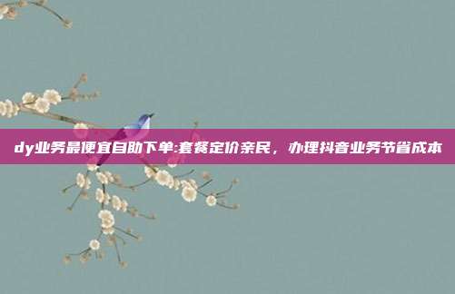 dy业务最便宜自助下单:套餐定价亲民,办理抖音业务节省成本