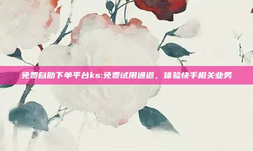 免费自助下单平台ks:免费试用通道,体验快手相关业务