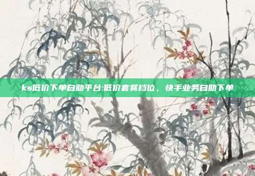 ks低价下单自助平台:低价套餐档位，快手业务自助下单