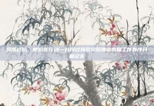 风雨过后,他们在行动—台风过境后灾后排查恢复工作有序开展纪实
