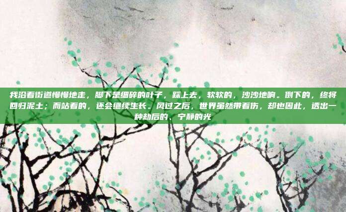 我沿着街道慢慢地走，脚下是细碎的叶子，踩上去，软软的，沙沙地响。倒下的，终将回归泥土；而站着的，还会继续生长。风过之后，世界虽然带着伤，却也因此，透出一种劫后的、宁静的光