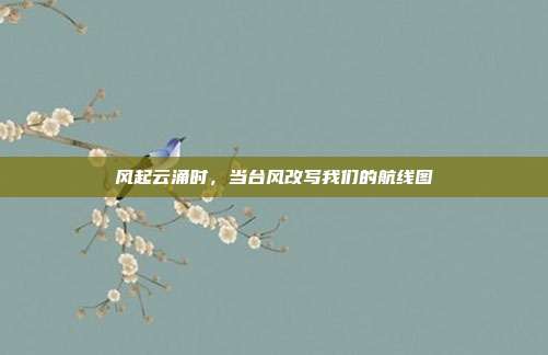 风起云涌时,当台风改写我们的航线图