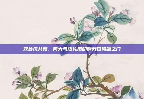 双台风共舞,两大气旋先后叩响我国海疆之门