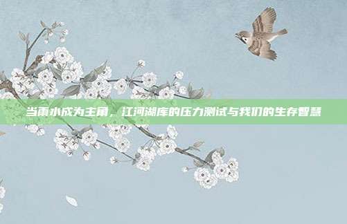 当雨水成为主角,江河湖库的压力测试与我们的生存智慧