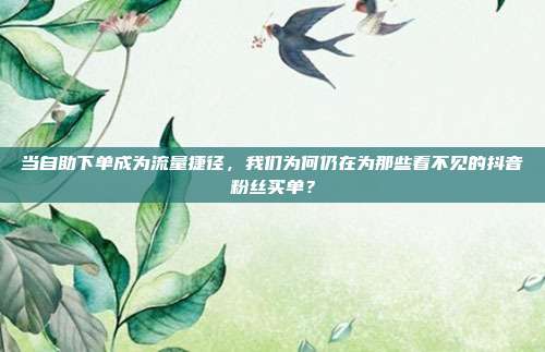 当自助下单成为流量捷径，我们为何仍在为那些看不见的抖音粉丝买单？