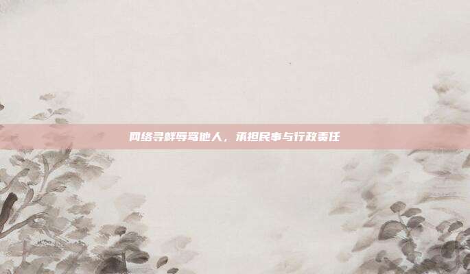 网络寻衅辱骂他人,承担民事与行政责任