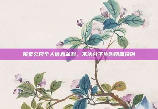 贩卖公民个人信息牟利，不法分子终陷囹圄获刑