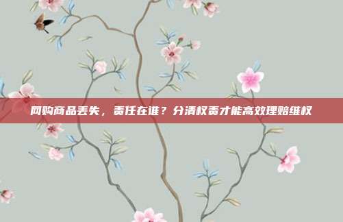 网购商品丢失,责任在谁?分清权责才能高效理赔维权