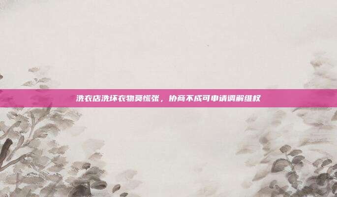 洗衣店洗坏衣物莫慌张,协商不成可申请调解维权