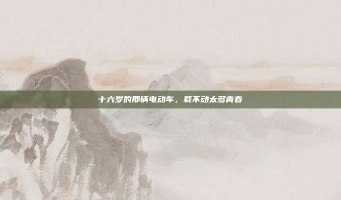十六岁的那辆电动车,载不动太多青春