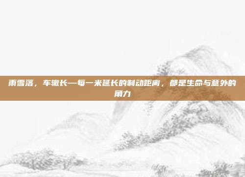 雨雪落,车辙长—每一米延长的制动距离,都是生命与意外的角力