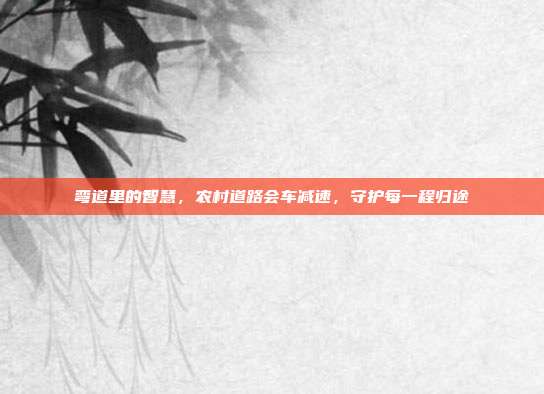 弯道里的智慧,农村道路会车减速,守护每一程归途