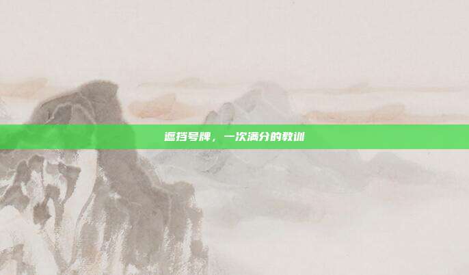 遮挡号牌，一次满分的教训