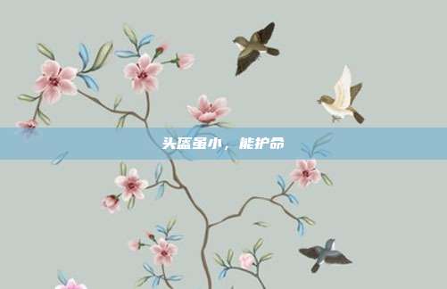头盔虽小,能护命