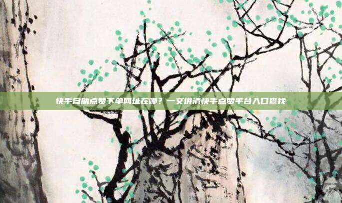 快手自助点赞下单网址在哪？一文讲清快手点赞平台入口查找
