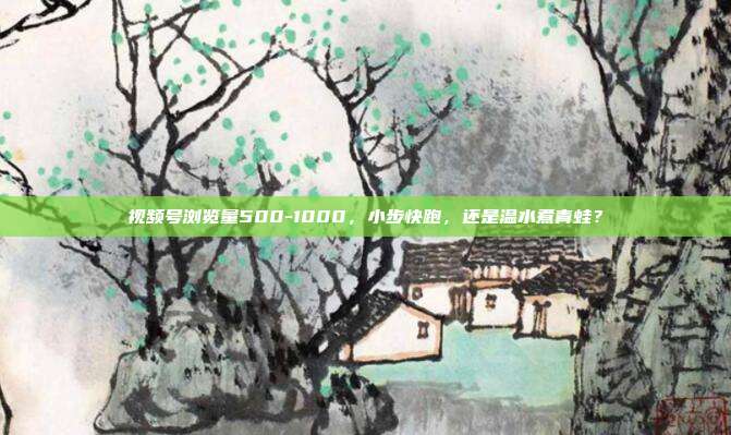 视频号浏览量500-1000,小步快跑,还是温水煮青蛙?
