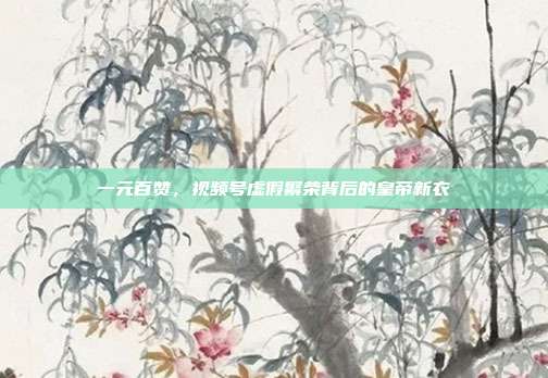 一元百赞,视频号虚假繁荣背后的皇帝新衣