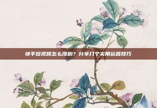 快手短视频怎么涨粉?分享几个实用运营技巧