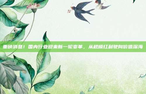 重磅消息!国内行业迎来新一轮变革,从规模红利驶向价值深海