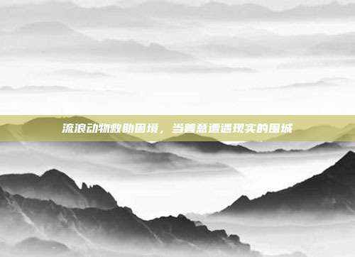 流浪动物救助困境,当善意遭遇现实的围城