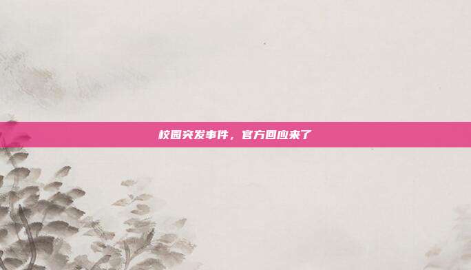 校园突发事件,官方回应来了