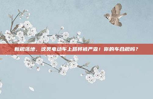 新规落地，这类电动车上路将被严查！你的车合规吗？