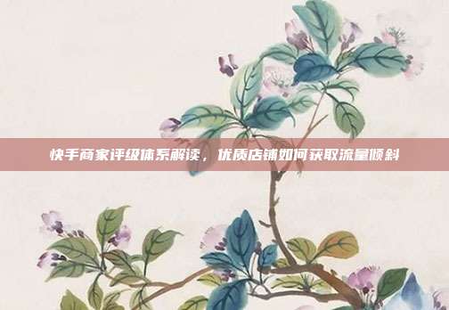快手商家评级体系解读,优质店铺如何获取流量倾斜