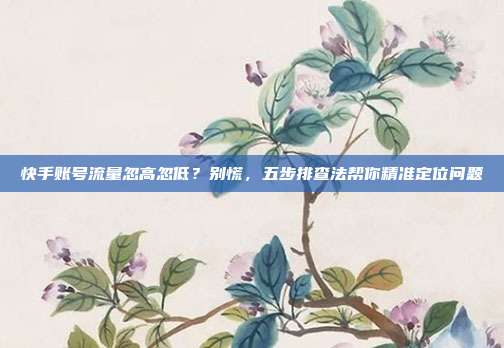 快手账号流量忽高忽低？别慌，五步排查法帮你精准定位问题