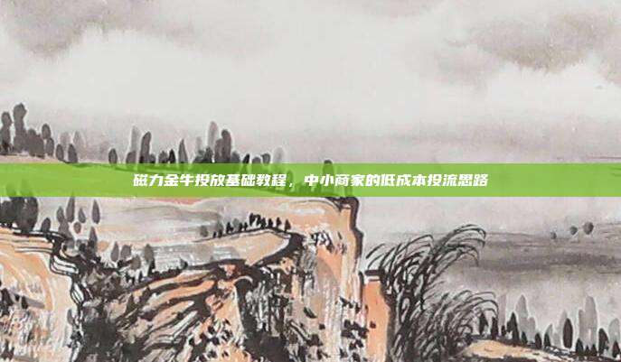磁力金牛投放基础教程,中小商家的低成本投流思路
