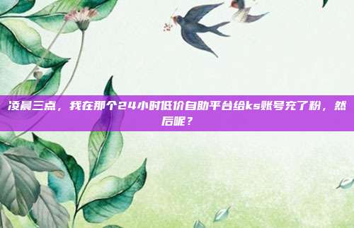 凌晨三点,我在那个24小时低价自助平台给ks账号充了粉,然后呢?